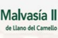 Malvasía II del Llano del Camello