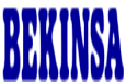 Grupo Bekinsa