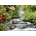 bdnzirtaeb
