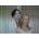 lauraruth85
