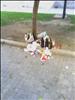 UN DIA CUALQUIERA EN LAS CALLES DE PARLA