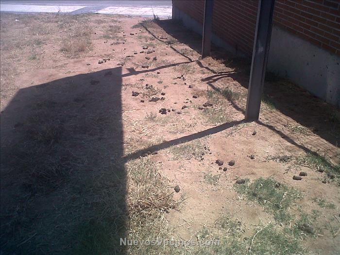 La gente es muy cerda, hace falta pedir para la zona Sanecan urgente, porque no hay ni uno y quizas con eso mejore. Ya por higiene y salubridad porque esto a parte de ser asqueroso, no puede ser bueno.