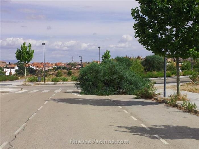 Estado de abandono de las zonas verdes de Miramadrid