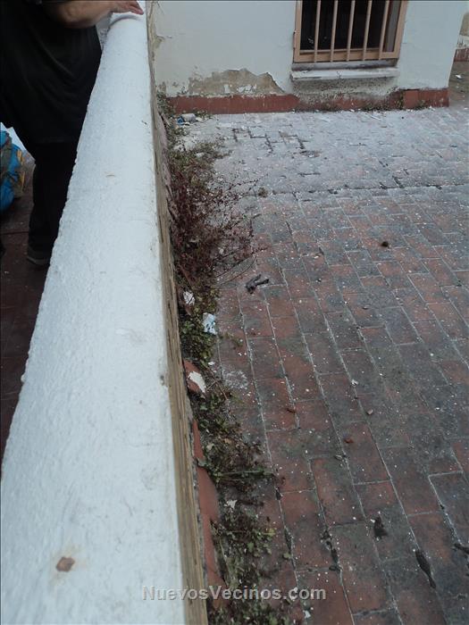 Parte de la terraza que linda con la del vecino