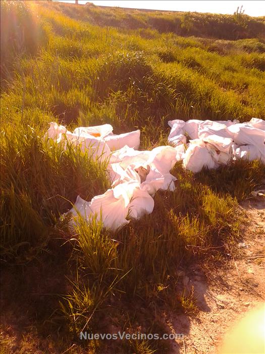 Por favor,  DEJALOS en TU CASA, o llevalos a la ESCOMBRERA. 