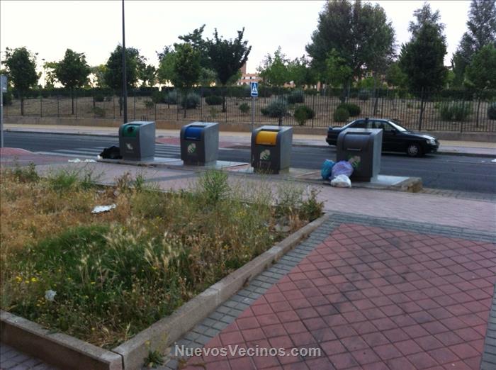 Bolsas de basura fuera del contenedor 