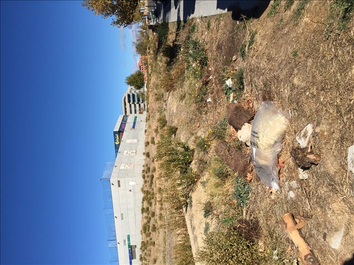 mientras tanto se acumula la basura